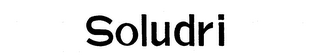 SOLUDRI logo