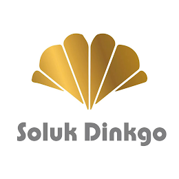SOLUK DINKGO logo