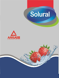 SOLURAL AMSA LABORATORIOS logo