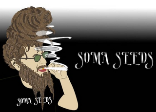 SOMA SEEDS SOMA SEEDS logo