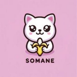 SOMANE logo