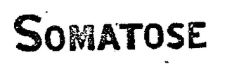 SOMATOSE logo