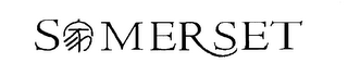 SOMERSET logo