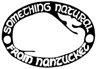 SOMETHING NATURAL FROM NANTUCKET logo