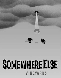 SOMEWHERE ELSE VINEYARDS logo