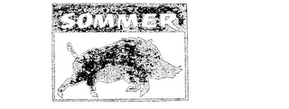 SOMMER logo