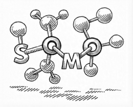 SOMO logo