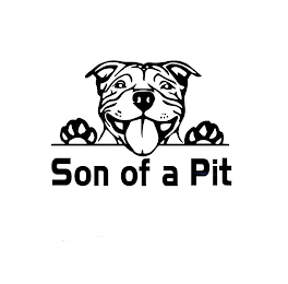 SON OF A PIT logo
