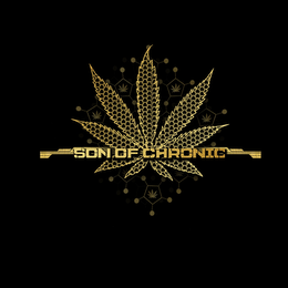 SON OF CHRONIC logo