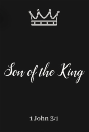 SON OF THE KING 1 JOHN 3:1 logo