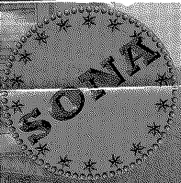 SONA logo