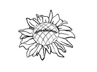 SONFOLLOWER logo