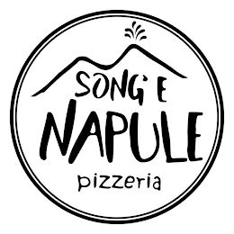 SONG' E NAPULE PIZZERIA logo