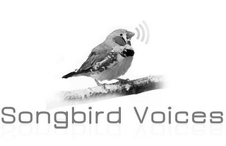 SONGBIRD VOICES logo