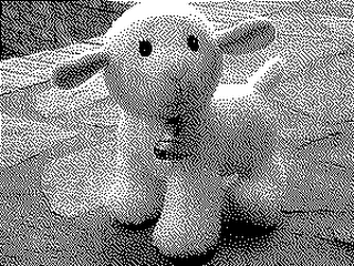 SONIA THE LAMB logo
