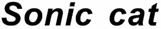 SONIC CAT logo