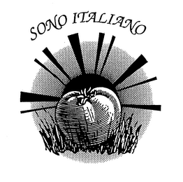 SONO ITALIANO logo