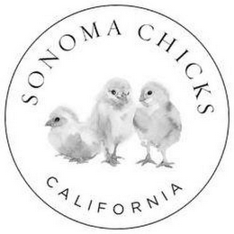 SONOMA CHICKS CALIFORNIA logo