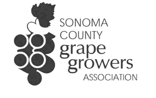 SONOMA COUNTY GRAPE GROWERS ASSOCIATION logo