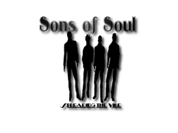 SONS OF SOUL SPREADING THE VIBE logo
