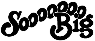 SOOOOOOO BIG logo