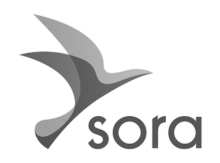 SORA logo
