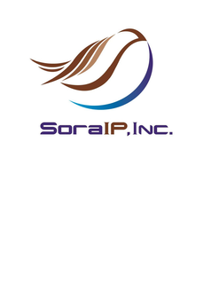 SORAIP,INC. logo