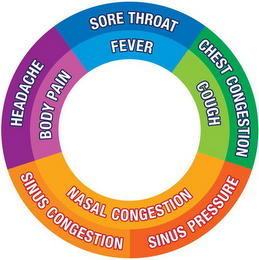 SORE THROAT FEVER CHEST CONGESTION COUGH NASAL CONGESTION SINUS CONGESTION SINUS PRESSURE HEADACHE BODY PAIN logo