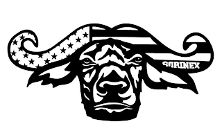 SORINEX logo
