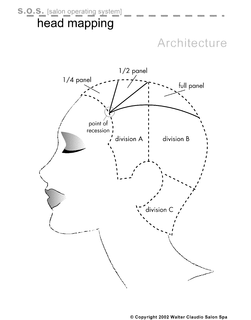 S.O.S. (SALON OPERATING SYSTEM) HEAD MAPPING ARCHITECTURE