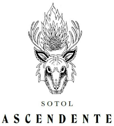 SOTOL ASCENDENTE logo