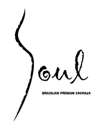 SOUL BRAZILIAN PREMIUM CACHACA logo