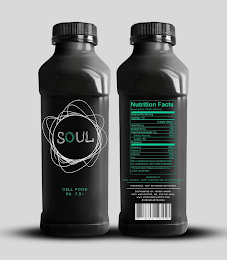 SOUL BY VIRGIN EARTH logo