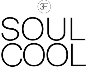 SOUL COOL 3E logo