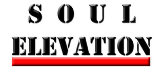 SOUL ELEVATION logo