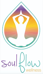 SOUL FLOW WELLNESS logo