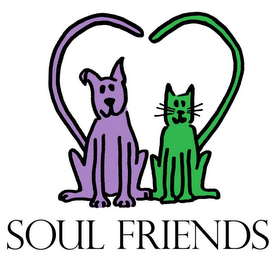 SOUL FRIENDS logo
