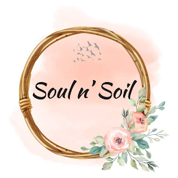 SOUL N' SOIL logo