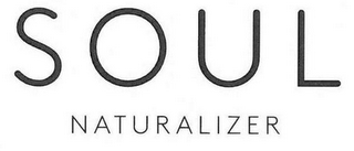SOUL NATURALIZER logo