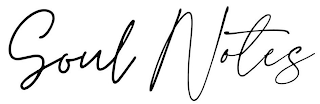 SOUL NOTES logo