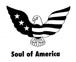 SOUL OF AMERICA logo