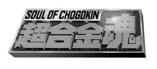 SOUL OF CHOGOKIN logo