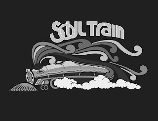 SOUL TRAIN logo