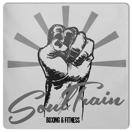 SOUL TRAIN BOXING & FITNESS logo