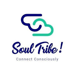 SOUL TRIBE! CONNECT CONSCIOUSLY logo