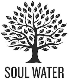 SOUL WATER logo