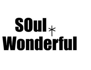 SOUL WONDERFUL logo