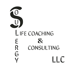 SOULERGY LIFE COACHING & CONSULTING LLC logo