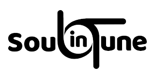 SOULINTUNE logo