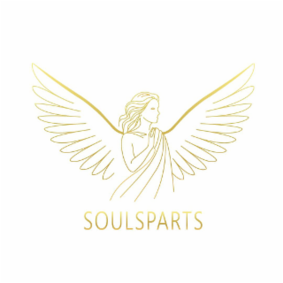 SOULSPARTS logo